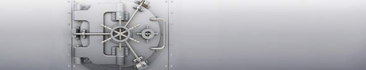 Protect my Password: Big Vault