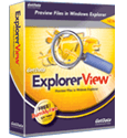 Explorer View